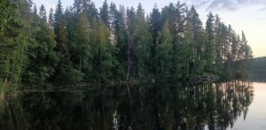 Lake in Finland with dark waters